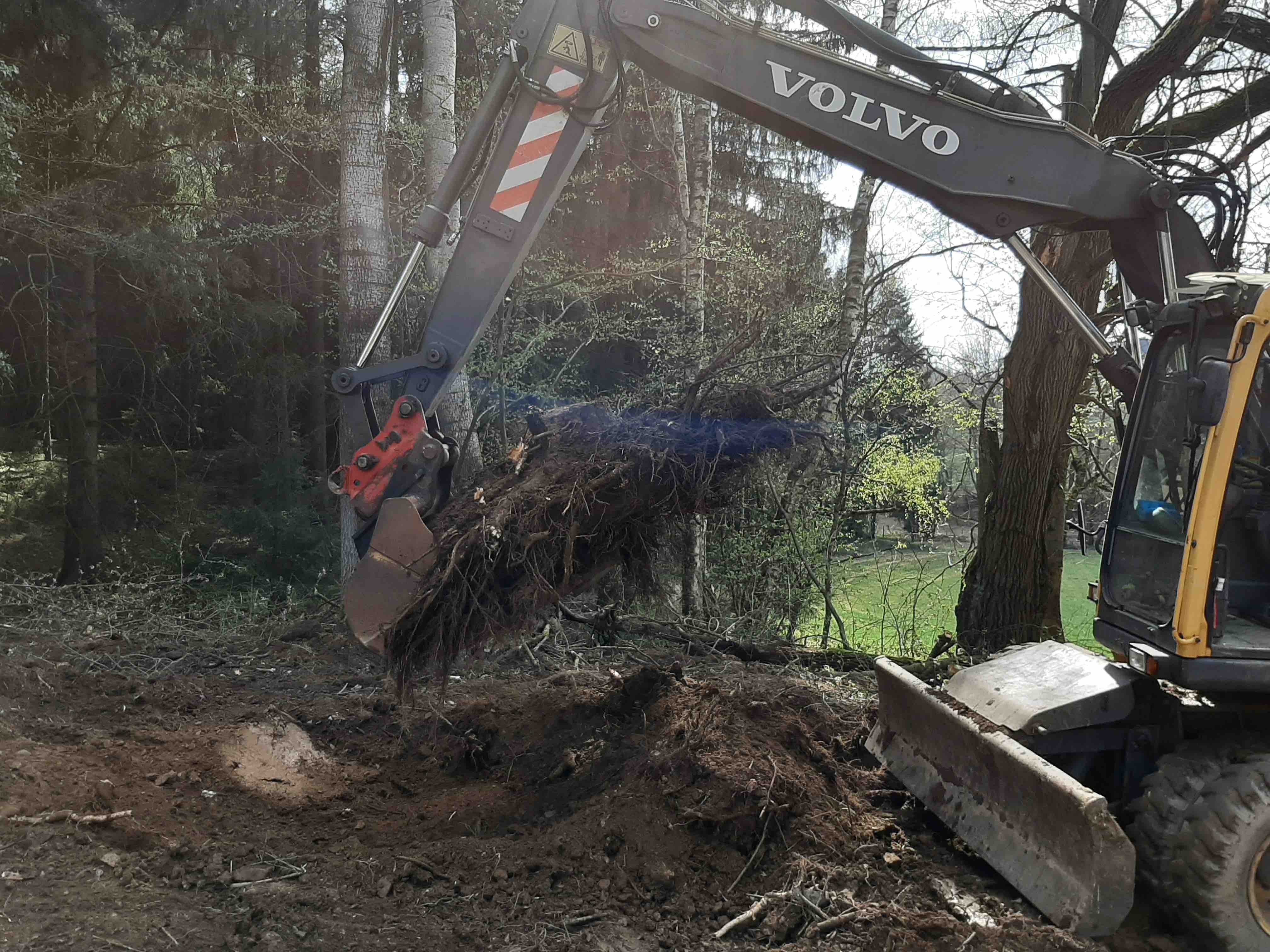 Wurzelstock entfernen.jpg